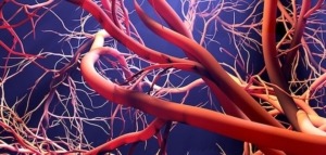 soins bucco-dentaires prf applications