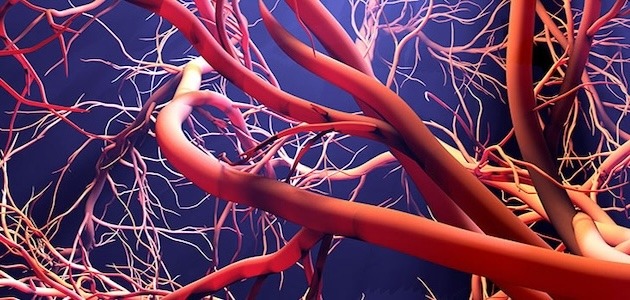 soins bucco-dentaires prf applications